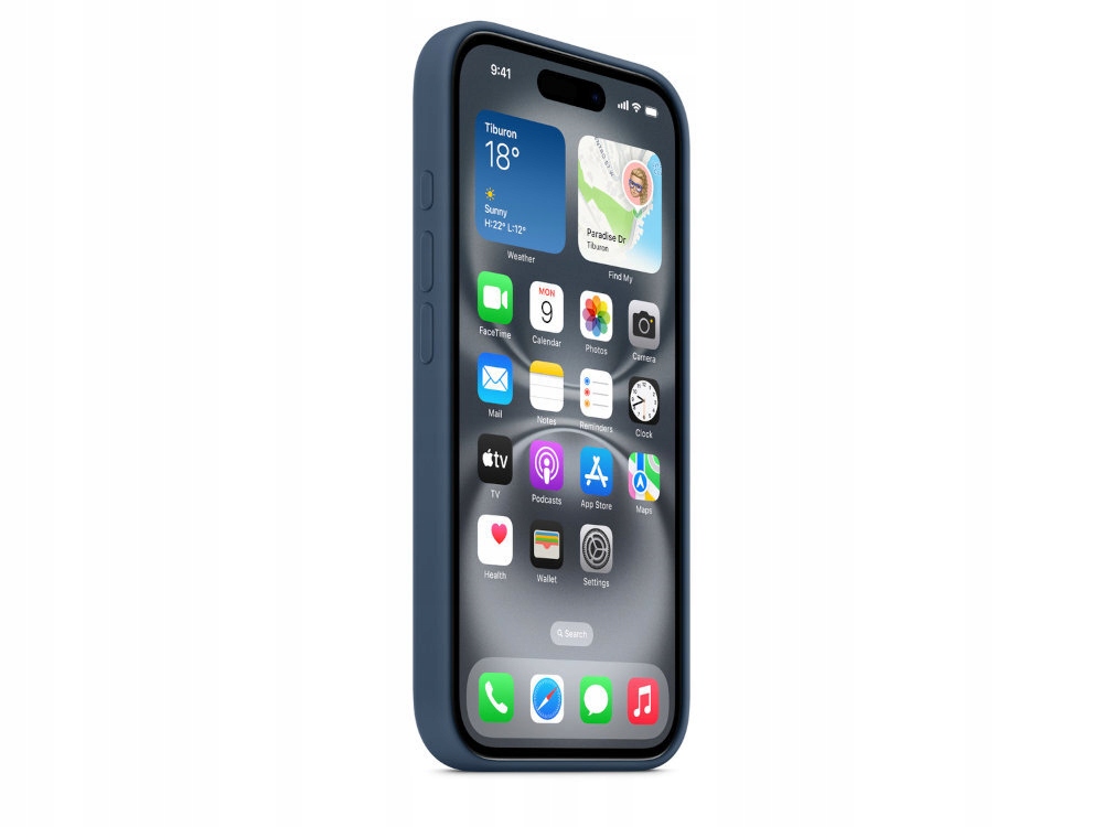 Zawartość zestawu - Etui Apple Silicone Case do iPhone 16 Plus