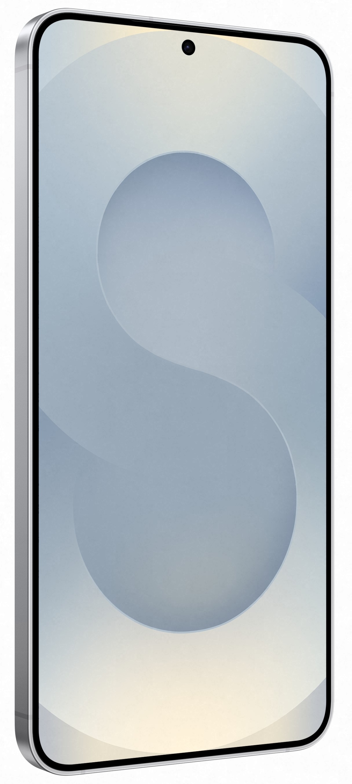 Samsung Galaxy S25+ 12/512GB Srebrny - widok tyłu